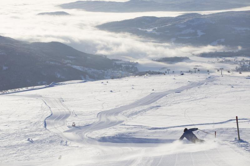 Skogro Ved Norefjell Noresund Kültér fotó